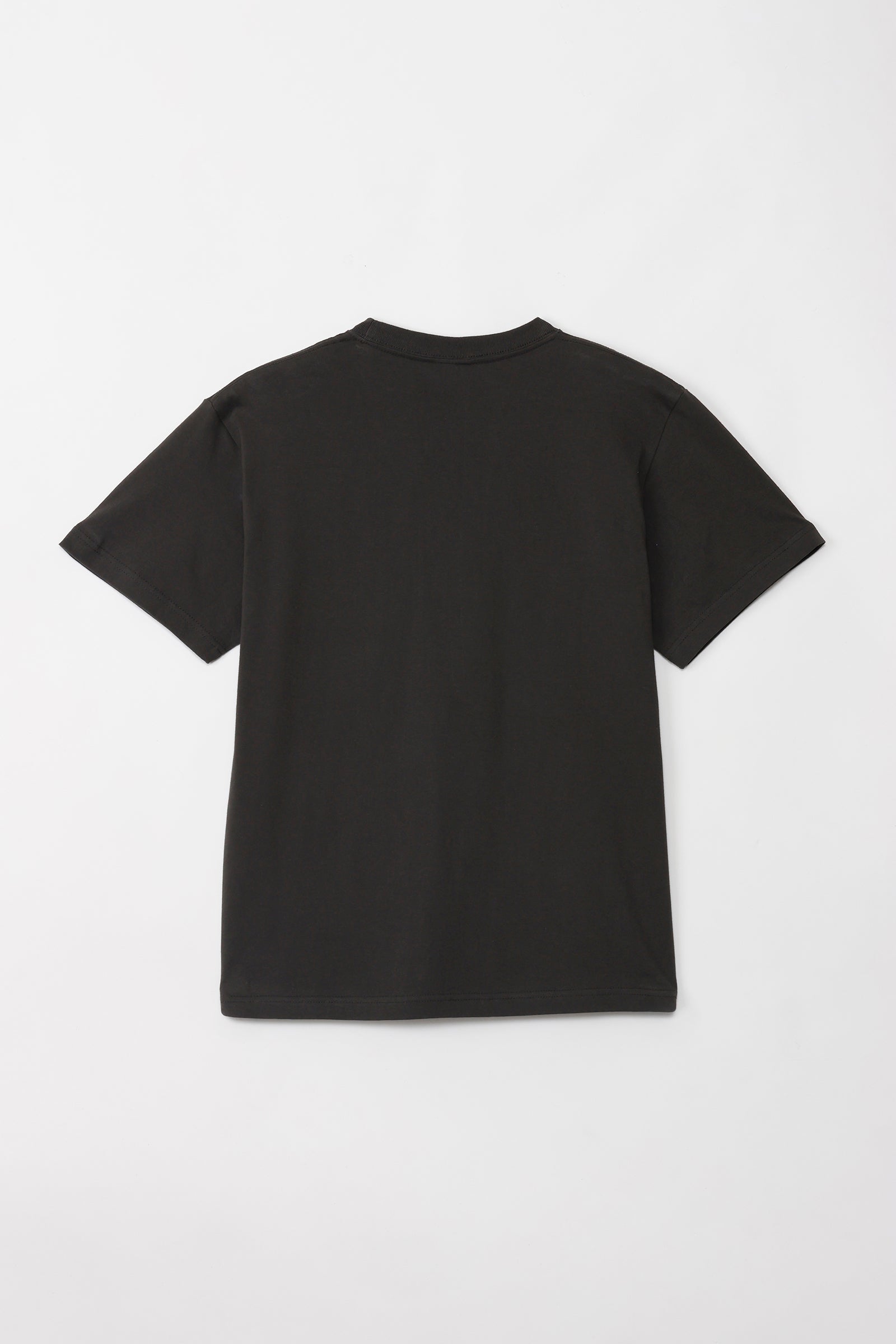 可愛い嘘のカワウソ Tシャツ ランドリー スミ